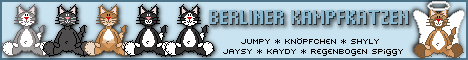 Berliner Kampfkatzen