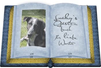 einfach drauf klicken und schon kommst Du ins Buch