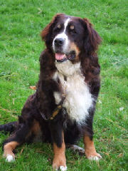 unsere Freundin Jule