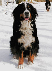 unsere Freundin Paula