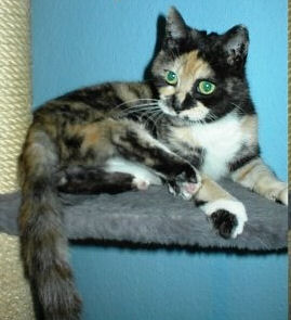 unsere Freundin Spiggy