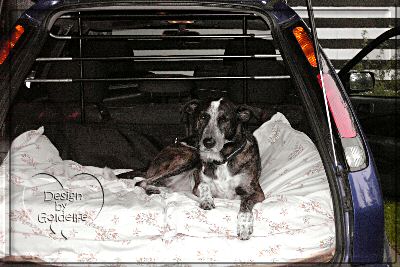 wann geht`s denn endlich los ???