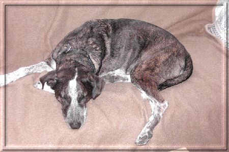 Mensch bin ich kaputt