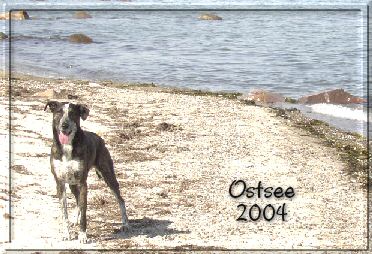 Urlaub an der Ostsee