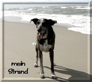 am Strand